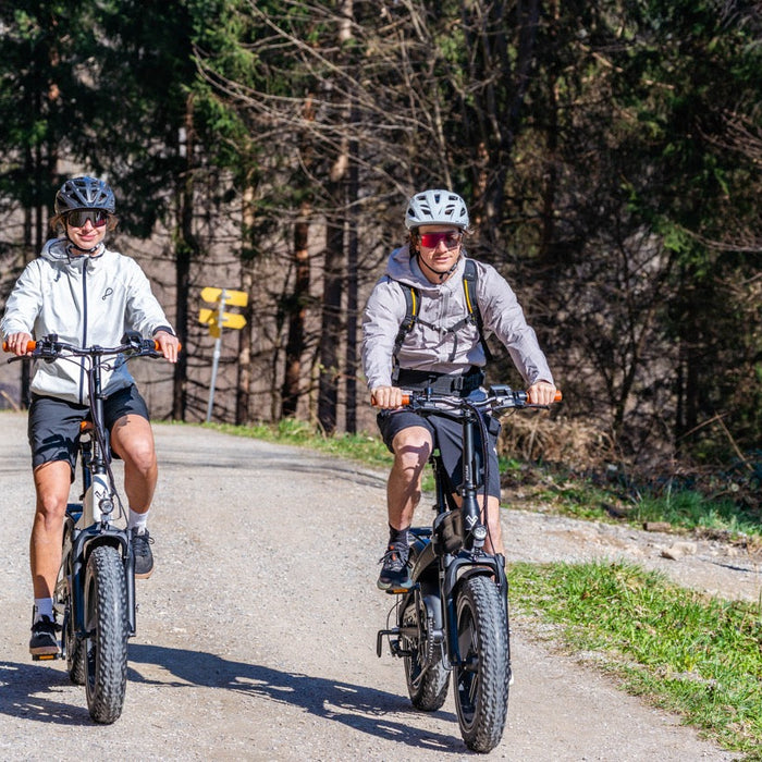 Elektroroller vs. Fatbike E-Bike