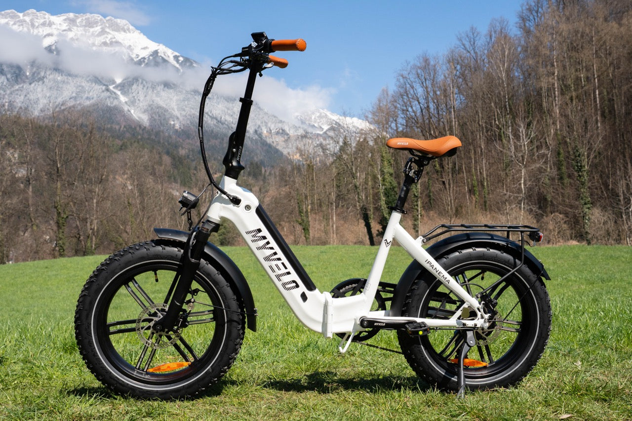 Which other group of people benefits from electric folding bikes?
