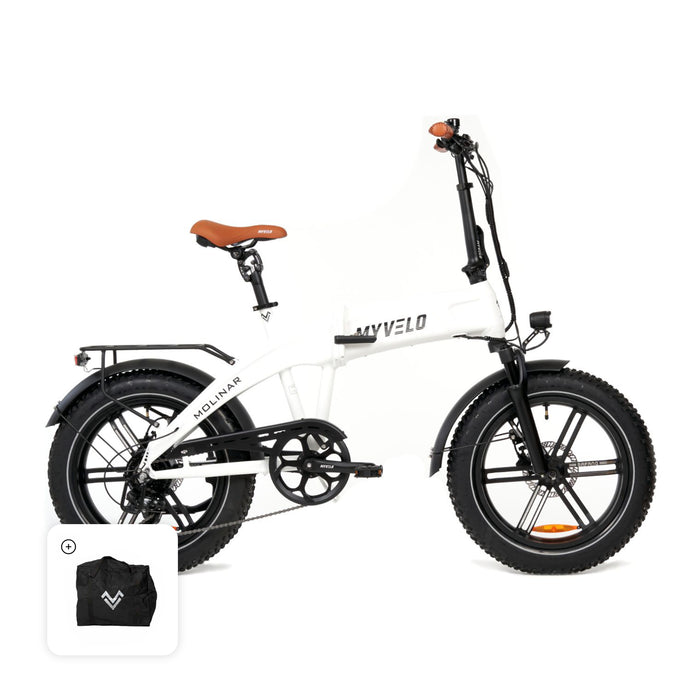 Molinar Elektro-Klapprad + Tragetasche