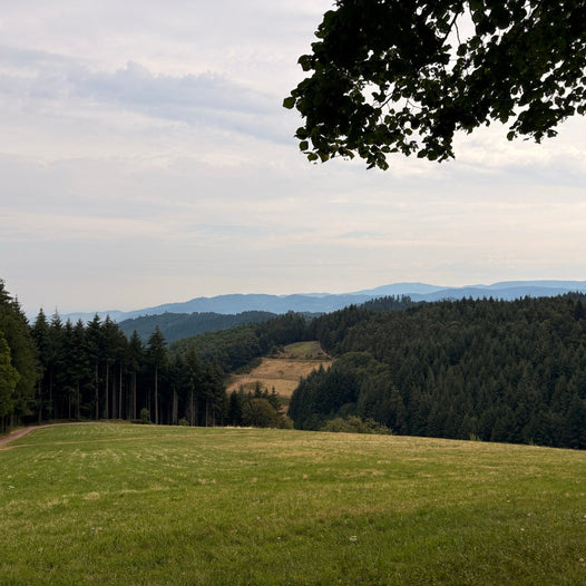 E-Bike Tour Gengenbach – Oberkirch Panorama: Über den Späneplatz durch den nördlichen Schwarzwald