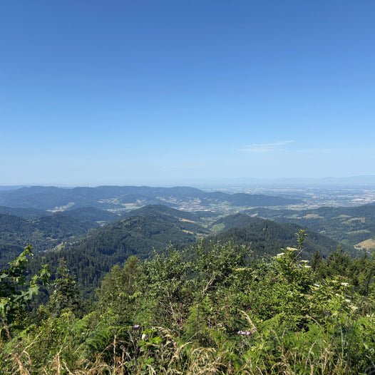 E-Bike Tour Gengenbach: Lothardenkmal, Mooskopfturm und Kornebene im nördlichen Schwarzwald