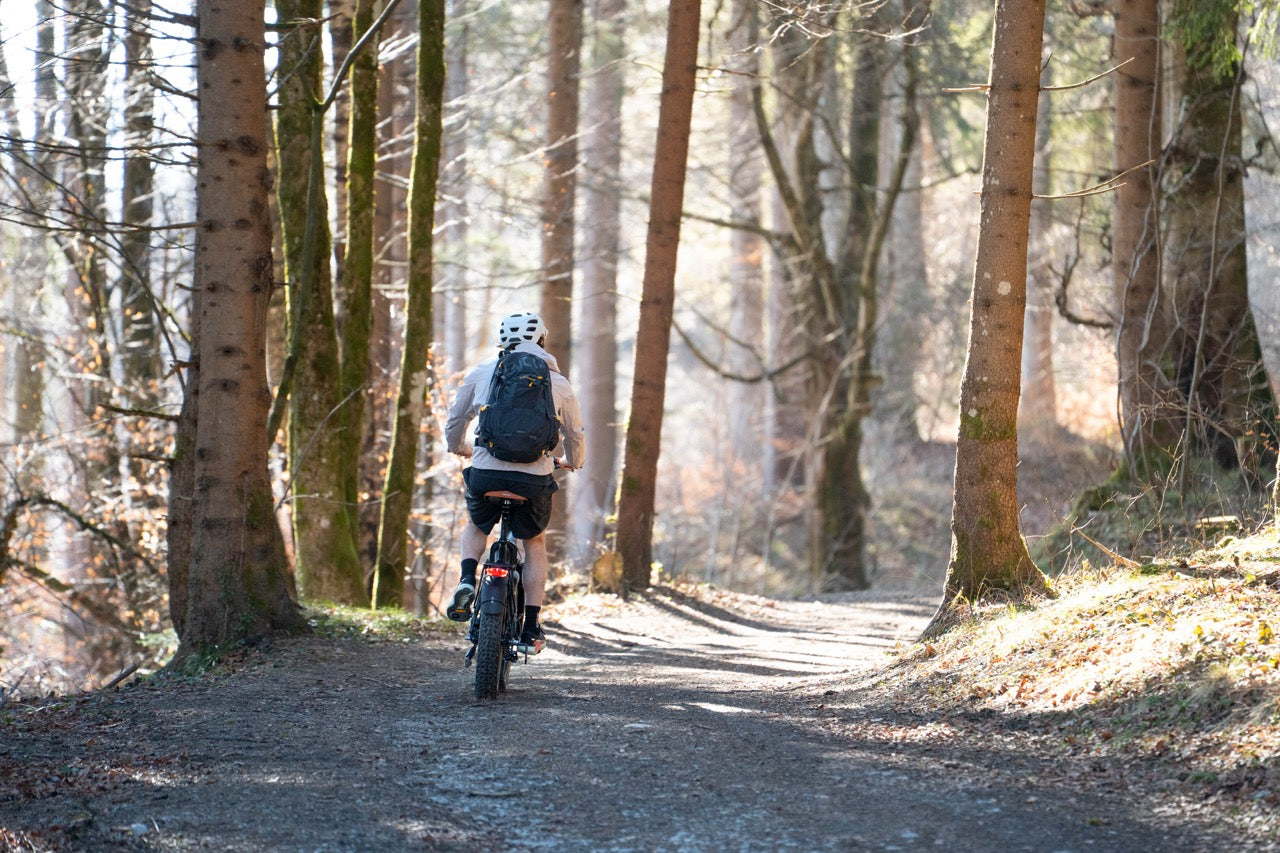 E-Bike für Pendler