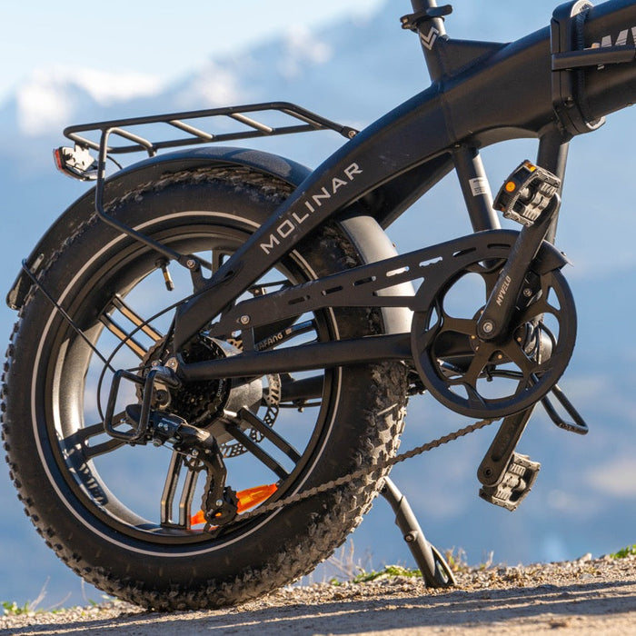 Elektrischer Antrieb beim E-Bike