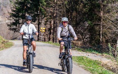 Electric scooter vs. fat bike e-bike – which vehicle suits you better?