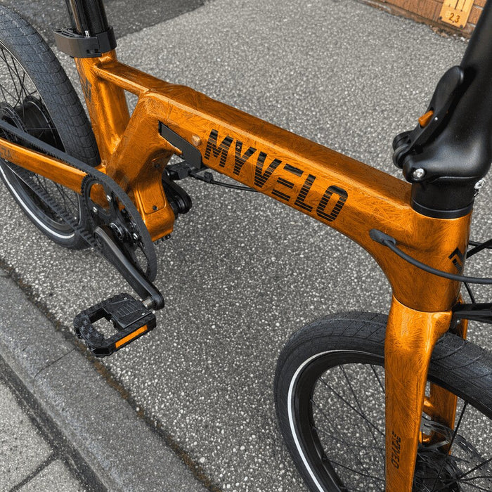 Monza Carbon Elektro-Klapprad - myvelo.de