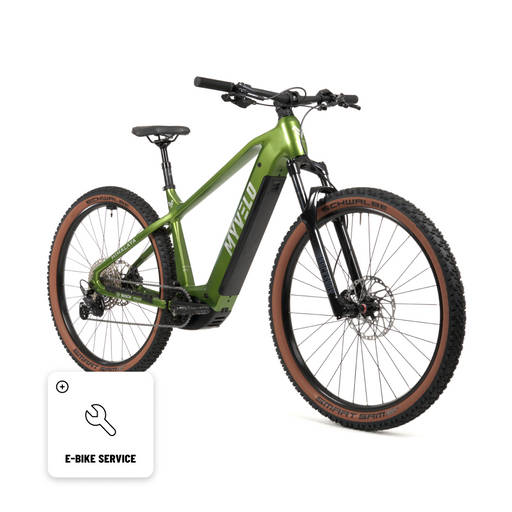 Himalaya E-MTB + 1. E-Bike Service - myvelo.de