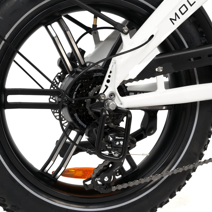 MYVELO Molinar Elektro-Klapprad Schaltwerkschutz