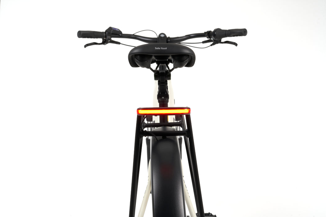 Nice E-Bike Trekking 
