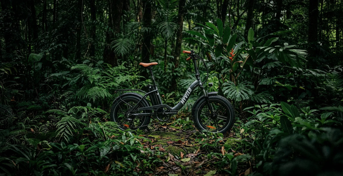 Aufsteigen ohne Aufwand.