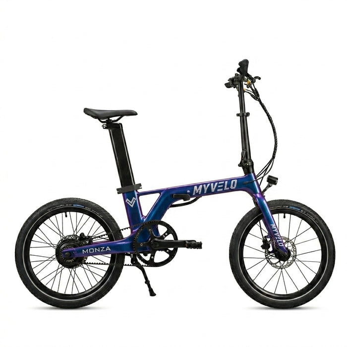 Monza Carbon Elektro-Klapprad - myvelo.de
