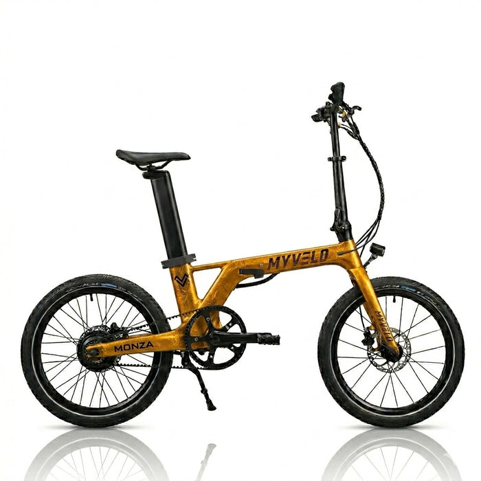Monza Carbon Elektro-Klapprad - myvelo.de