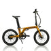 Monza Carbon Elektro-Klapprad - myvelo.de