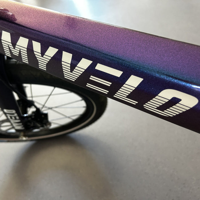 Monza Carbon Elektro-Klapprad - myvelo.de