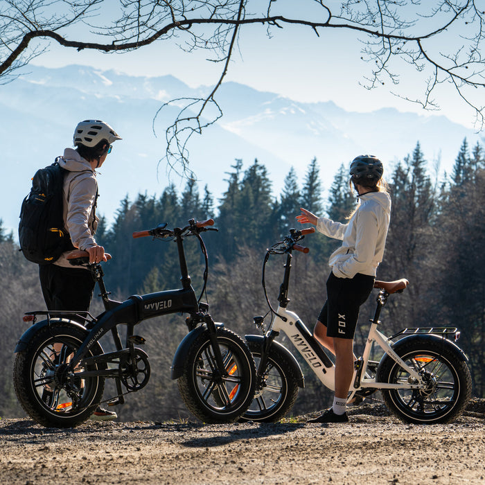 MYVELO Molinar Elektro-Klapprad Wald