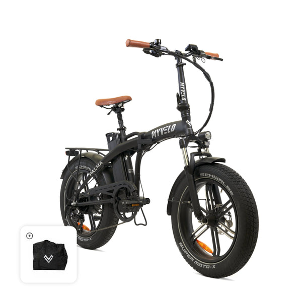 Palma electric folding bike